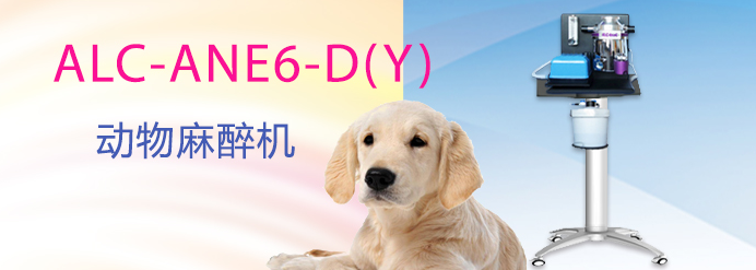 ALC-ANE6-D(Y)型動(dòng)物麻醉機