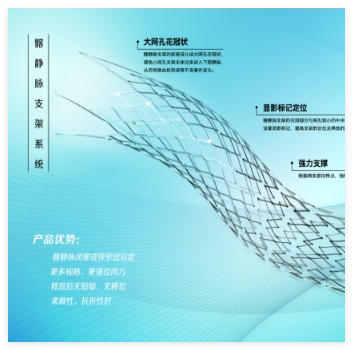 天鴻盛捷 髂靜脈支架系統 VM-SS-10-060-D08
